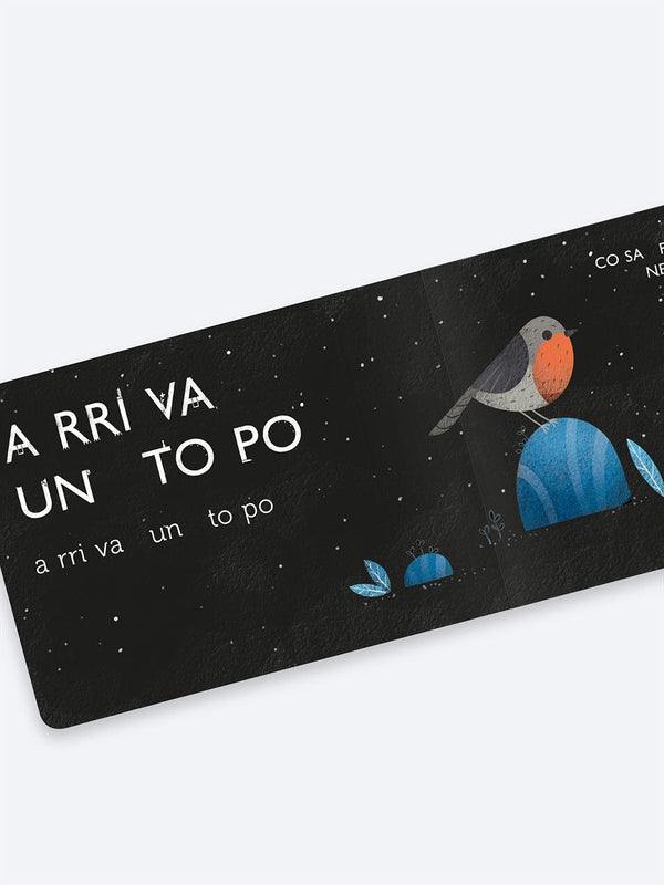 Pitti e la notte scura Fastbook