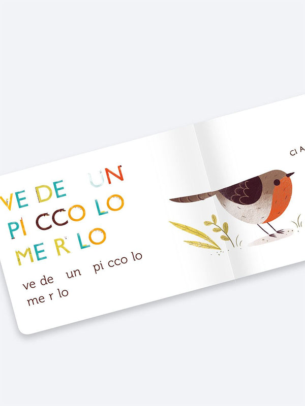 Pitti e il merlo sperduto Fastbook