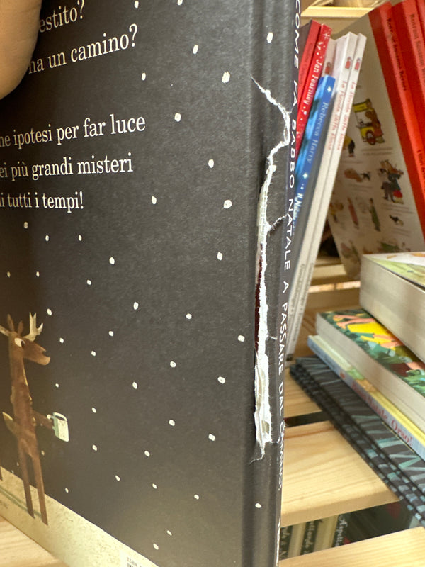 Come fa Babbo Natale a passare dal camino? Fastbook