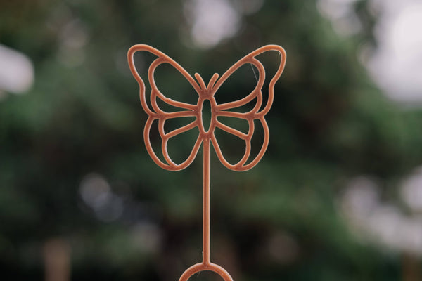 Bacchetta Butterfly Eco Bubble™ Kinfolk Pantry