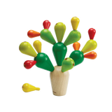 Cactus in equilibrio Plantoys
