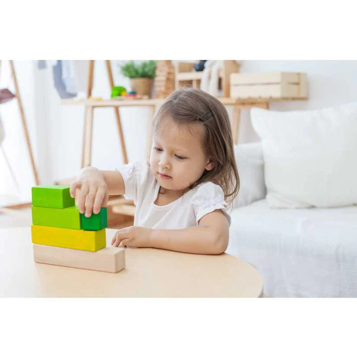 Blocchi da ordinare Plantoys