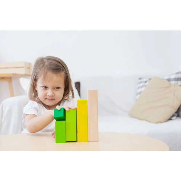 Blocchi da ordinare Plantoys