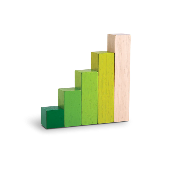 Blocchi da ordinare Plantoys