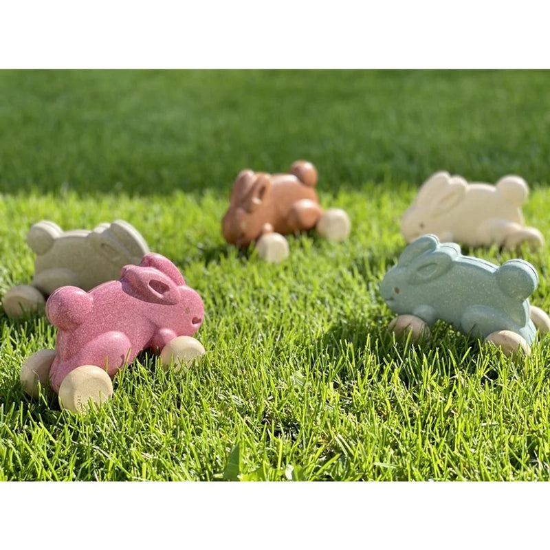 Spingi il coniglietto Plantoys
