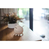 Salvadanaio Maialino Plantoys